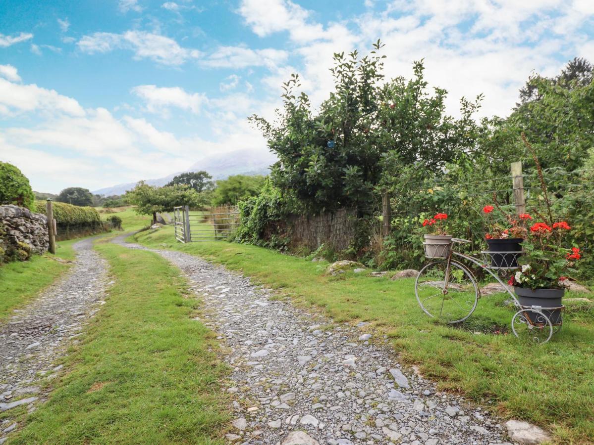 Cwm Caeth Cottage Caernarfon Exterior foto